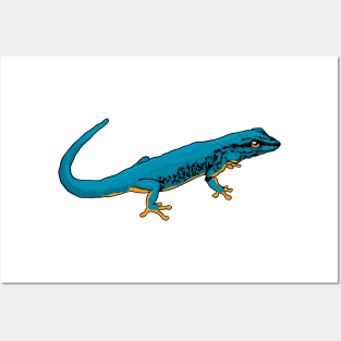 Drawing - Electric Blue Gecko Posters and Art